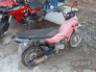 2016 HONDA POP 