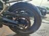2024 TRIUMPH TIGER 