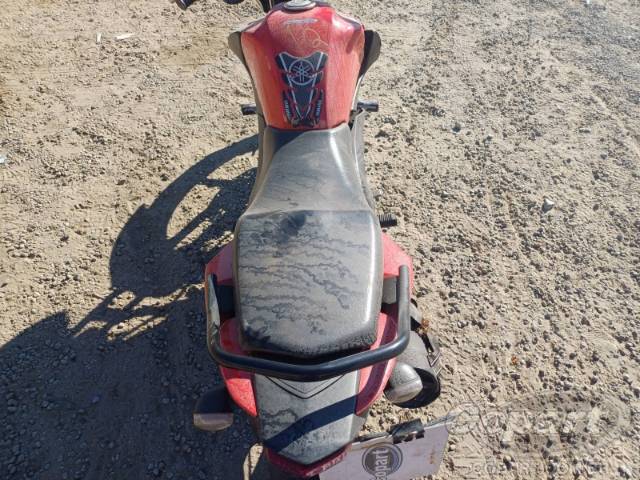2023 YAMAHA YBR 150 FACTOR 