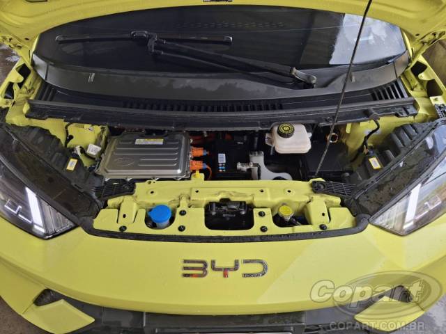 2025 BYD DOLPHIN MINI 