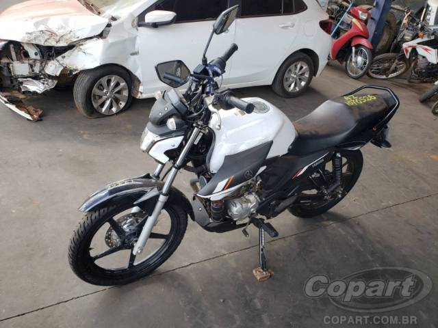 2025 YAMAHA FACTOR 