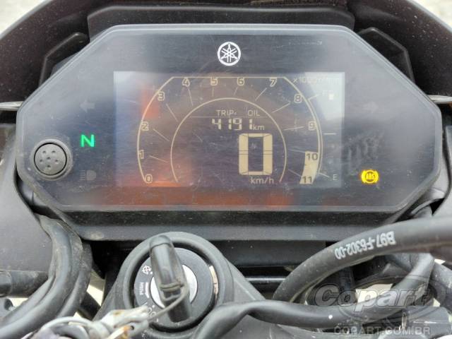 2025 YAMAHA FZ25 FAZER 