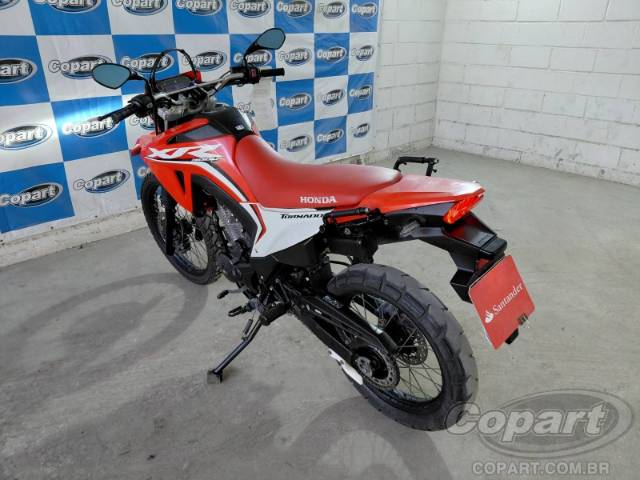 2025 HONDA XR 300L 