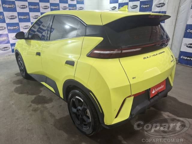 2025 BYD DOLPHIN MINI 