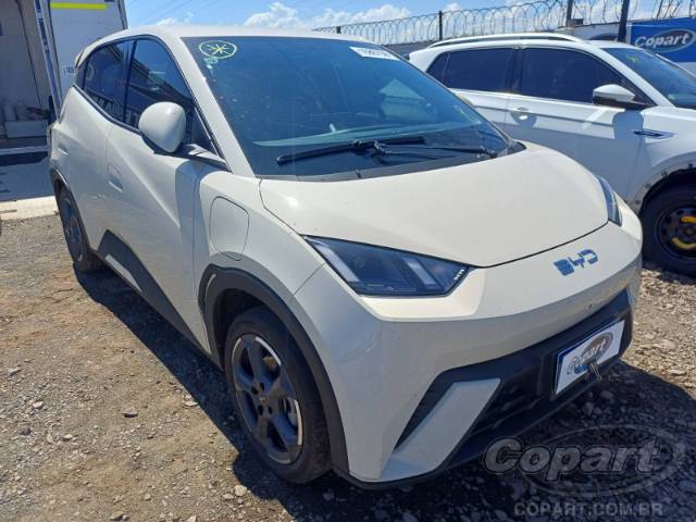 2025 BYD DOLPHIN MINI 