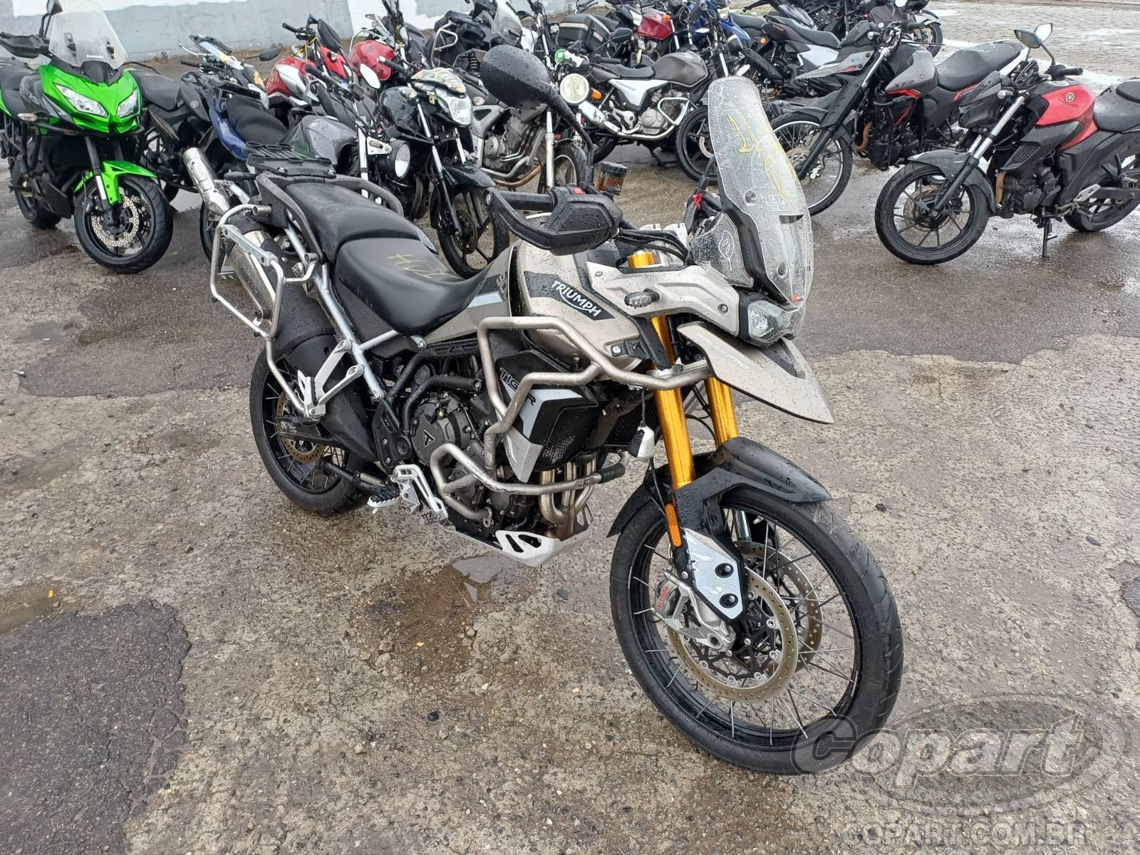 Veículo TRIUMPH Tiger 2023 TRIUMPH TIGER 900 Rally Pro 2023 em leilão