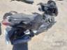 2019 HONDA PCX 