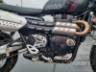 2024 TRIUMPH SCRAMBLER 