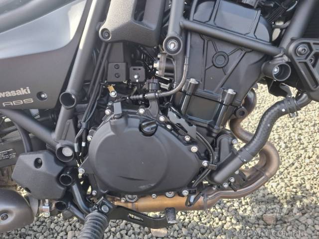2025 KAWASAKI Eliminator 
