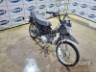 2019 HONDA POP 