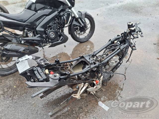 2023 HONDA CB 300F 