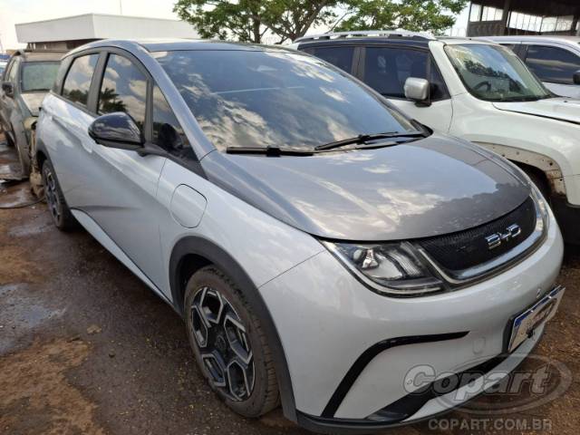 2024 BYD DOLPHIN 