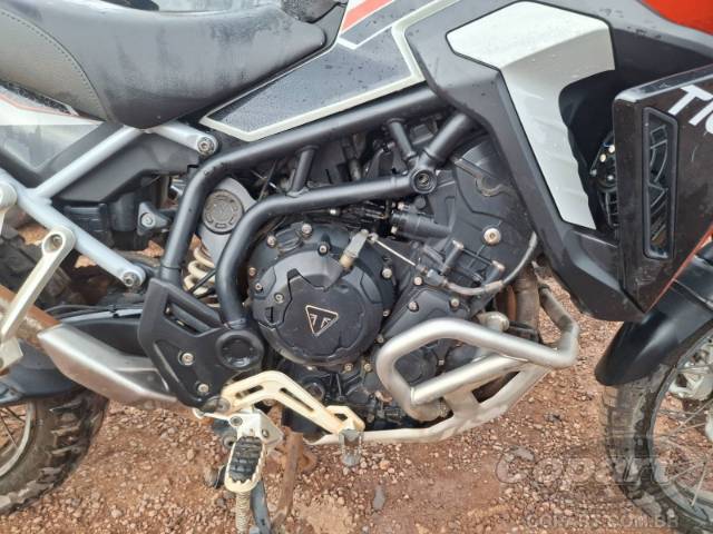 2025 TRIUMPH TIGER 