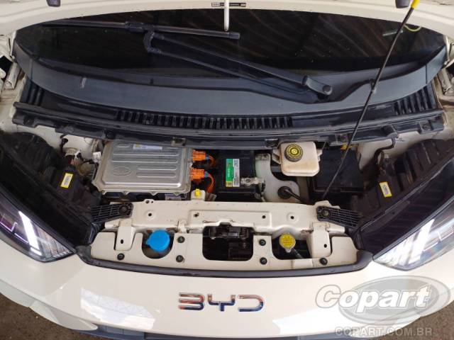 2025 BYD DOLPHIN MINI 