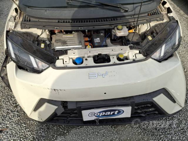 2025 BYD DOLPHIN MINI 