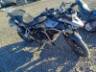 2025 TRIUMPH TIGER 