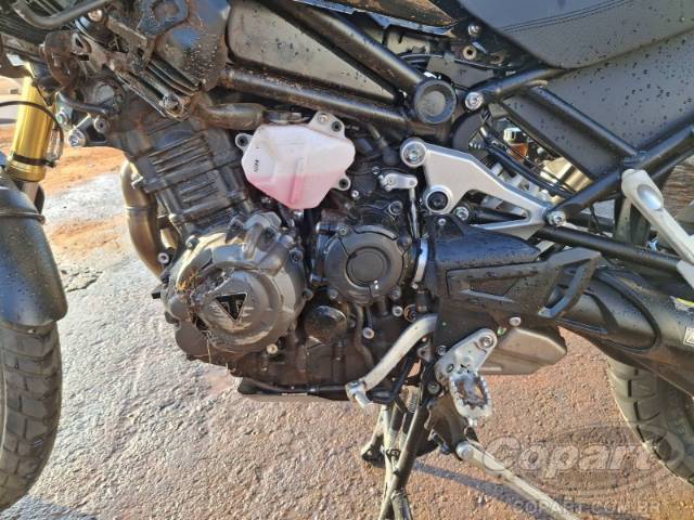 2025 TRIUMPH TIGER 