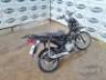 2025 HONDA POP 