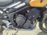 2025 TRIUMPH TRIDENT 