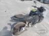 2026 HONDA CB 500 