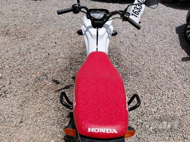 2025 HONDA POP 