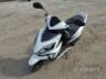 2021 HONDA ELITE 