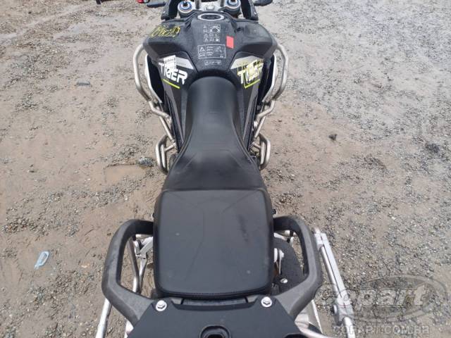 2024 TRIUMPH TIGER 