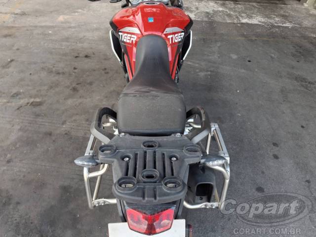2024 TRIUMPH TIGER 
