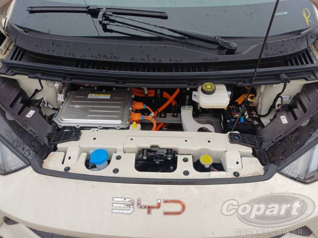 2026 BYD DOLPHIN MINI 