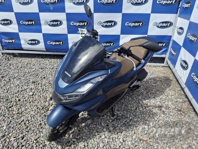 2024 HONDA PCX 