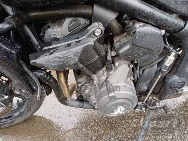 2025 TRIUMPH TRIDENT 