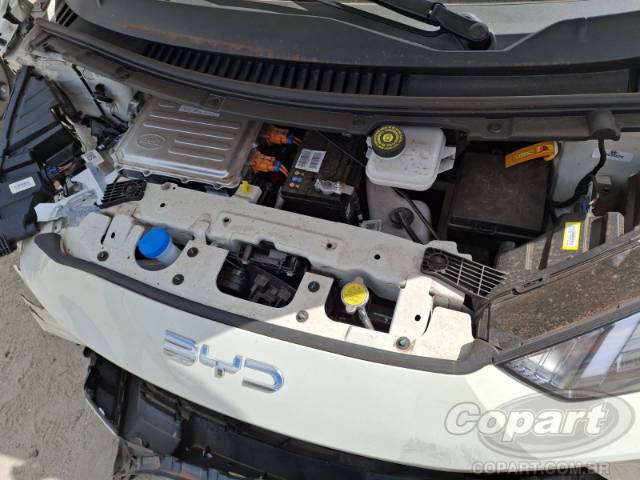 2025 BYD DOLPHIN MINI 