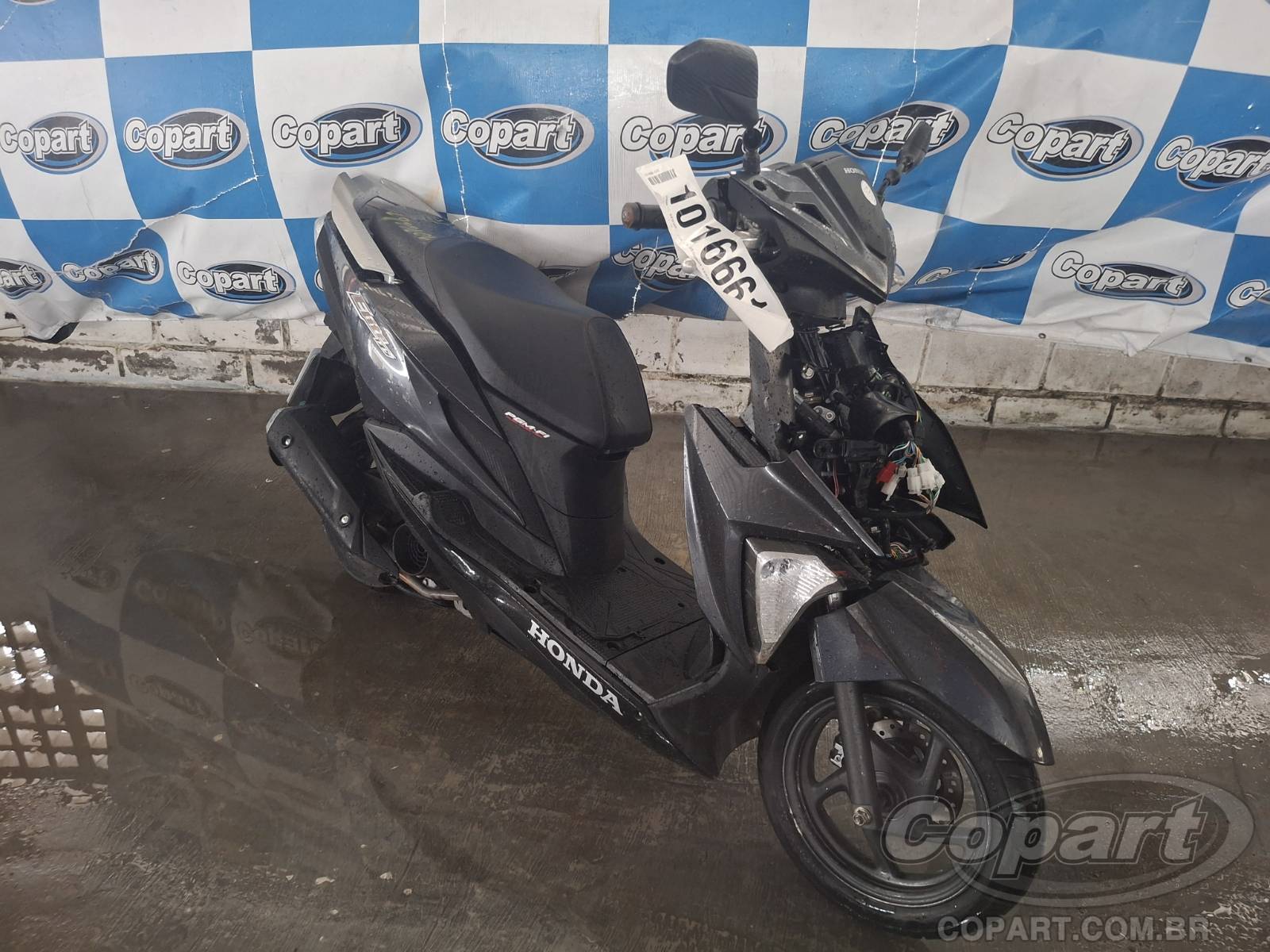 HONDA ELITE 2024