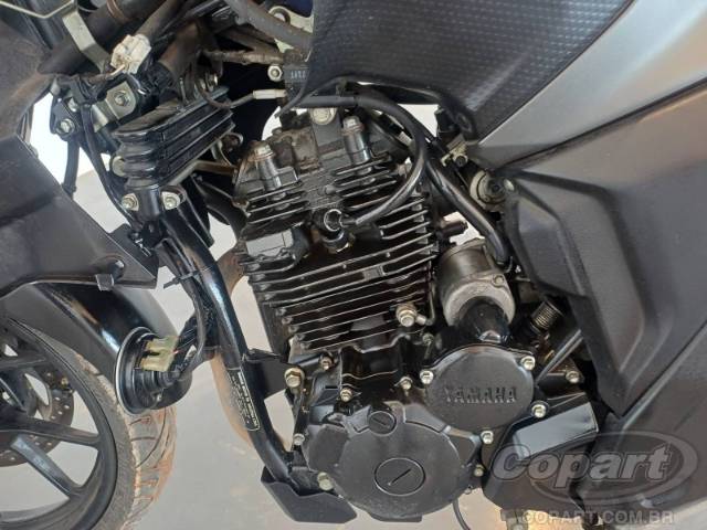 2024 YAMAHA FZ25 FAZER 