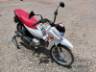 2025 HONDA POP 