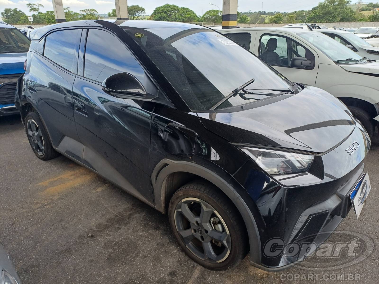 Veículo BYD Dolphin BYD Dolphin Mini 2025 2025 em leilão