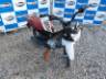 2026 HONDA POP 