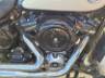 2019 HARLEY-DAVIDSON SOFTAIL 