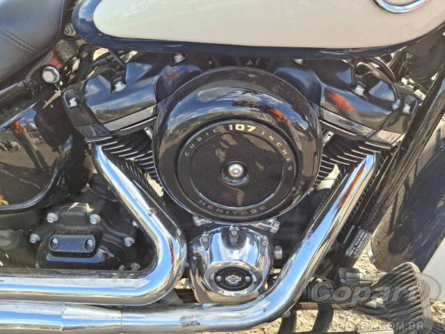 2019 HARLEY-DAVIDSON SOFTAIL 