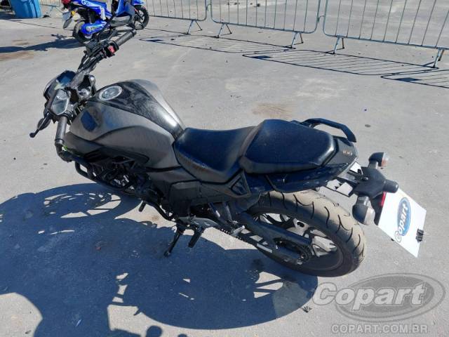2024 YAMAHA FZ25 FAZER 