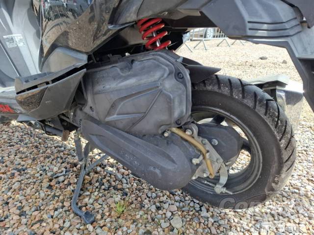 2019 HONDA ELITE 