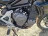 2026 TRIUMPH TIGER 