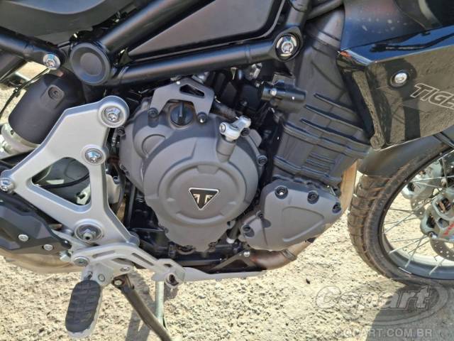 2026 TRIUMPH TIGER 