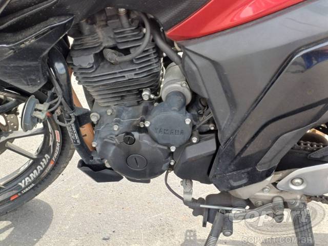 2024 YAMAHA FZ25 FAZER 