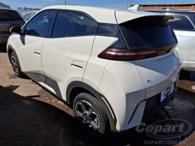 2025 BYD DOLPHIN MINI 