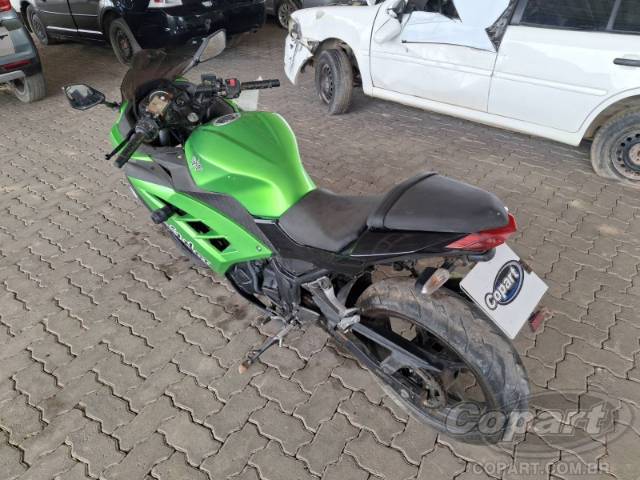 2024 KAWASAKI NINJA 300 