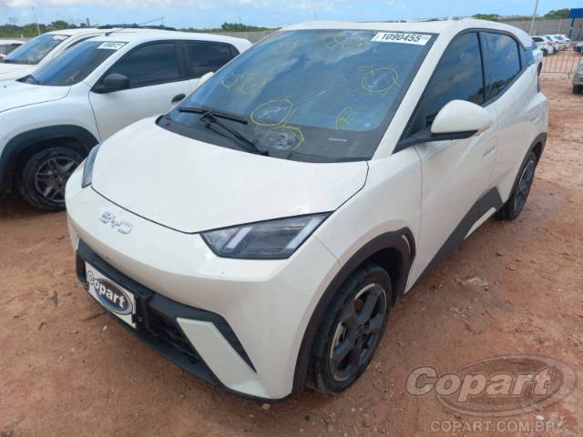 2025 BYD DOLPHIN MINI 