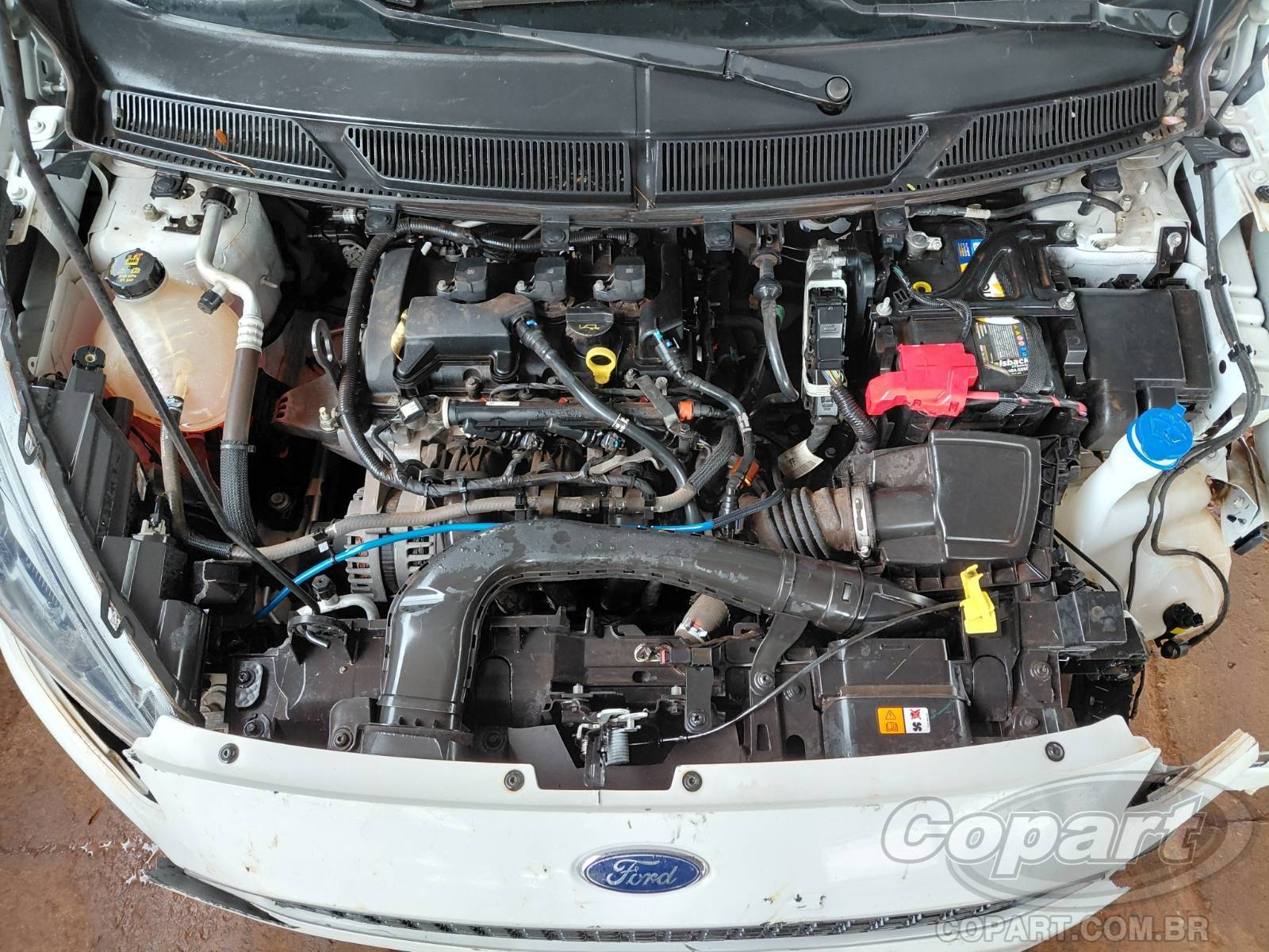 Foto 7 de 10: 2021 FORD KA