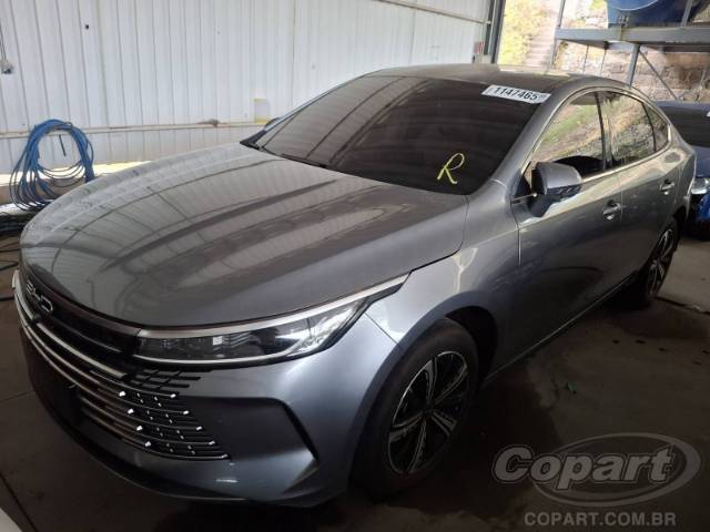 2025 BYD KING 