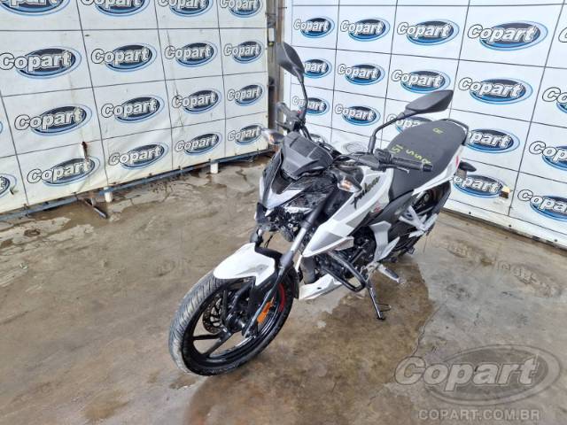 2026 BAJAJ Pulsar 